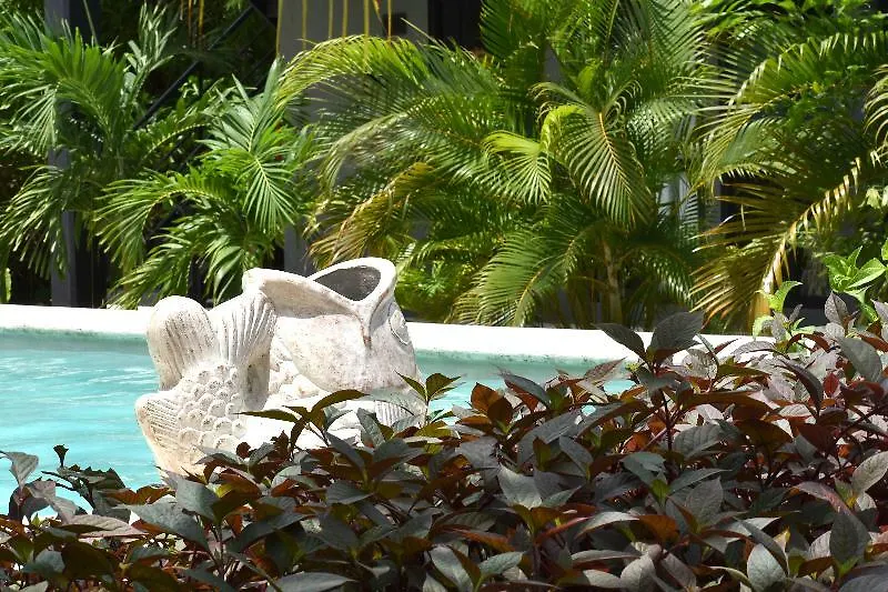 ***  Barronegro (Adults Only) Hotel Tulum Mexico
